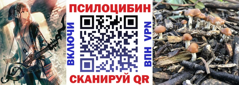Псилоцибиновые грибы прущие грибы  как найти наркотики  Брянск 